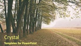  Presentation with foggy forest - Presentation design with country road in the meadow and forest on the one side in the foggy weather background and a tawny brown colored foreground