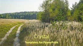  Presentation with country - Colorful PPT layouts enhanced with country road in the wood backdrop and a tawny brown colored foreground