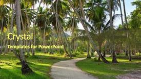  Presentation with coconut tree - Cool new theme with country road through plantation backdrop and a tawny brown colored foreground
