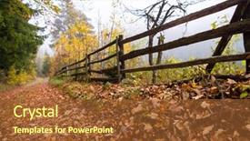  Presentation with foggy forest - Amazing theme having country road through the autumnal backdrop and a tawny brown colored foreground