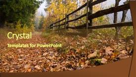  Presentation with foggy forest - PPT layouts consisting of country road through the autumnal background and a tawny brown colored foreground