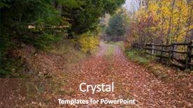  Presentation with foggy forest - Theme with country road through the autumnal background and a tawny brown colored foreground