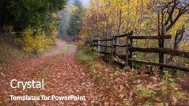  Presentation with foggy forest - Colorful PPT layouts enhanced with country road through the autumnal backdrop and a tawny brown colored foreground