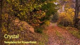  Presentation with forest road - Audience pleasing theme consisting of country road through the autumnal backdrop and a tawny brown colored foreground
