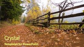  Presentation with foggy forest - PPT layouts featuring country road through the autumnal background and a red colored foreground