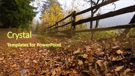  Presentation with foggy forest - Beautiful presentation theme featuring country road through the autumnal backdrop and a tawny brown colored foreground