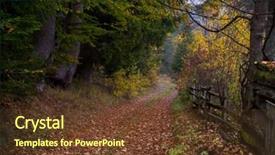  Presentation with foggy forest - PPT theme with country road through the autumnal background and a tawny brown colored foreground