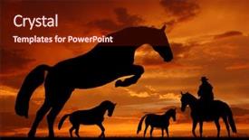  Presentation with horses - Audience pleasing PPT theme consisting of country western - silhouette cowboy with horses backdrop and a tawny brown colored foreground
