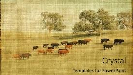  Presentation with pasture - PPT theme enhanced with country western - vintage style landscape with cows background and a yellow colored foreground