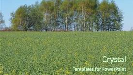  Presentation with rapeseed - Theme consisting of countryside filed of young background and a tawny brown colored foreground