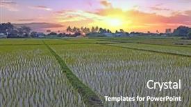  Presentation with rice fields - Presentation featuring countryside from tiruvanamalai in india background and a gray colored foreground
