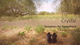  Presentation with trekking - Cool new PPT theme with countryside-landscape-with-trekking-shoes backdrop and a coral colored foreground