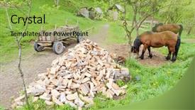  Presentation with bosnia old castle history - PPT theme consisting of countryside of bosnia and hercegovina background and a yellow colored foreground