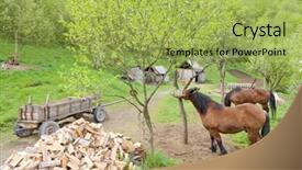  Presentation with bosnia - Beautiful slide deck featuring countryside of bosnia and herzegovina backdrop and a  colored foreground