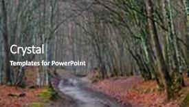  Presentation with forest road - Slide set featuring countryside road in autumn mountain forest background and a dark gray colored foreground