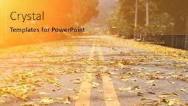  Presentation with spring tree - Colorful PPT layouts enhanced with countryside-road-with-leaves backdrop and a gold colored foreground