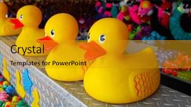  Presentation with fair - Beautiful slide set featuring county fair - ducks in a row backdrop and a gold colored foreground