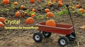  Presentation with fair - Audience pleasing slide deck consisting of county fair - pumpkin patch backdrop and a tawny brown colored foreground