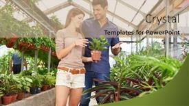  Presentation with nursery - Amazing PPT theme having couple buys plants together in a nursery in spring backdrop and a coral colored foreground