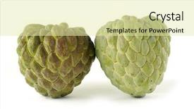  Presentation with couple - Colorful PPT layouts enhanced with couple custard apple backdrop and a blonde colored foreground