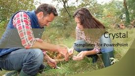  Presentation with mushrooms - Colorful slides enhanced with couple in forest picking mushrooms backdrop and a  colored foreground