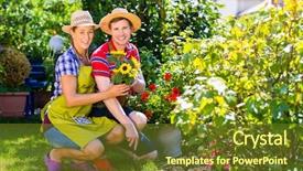  Presentation with flowers - Audience pleasing presentation design consisting of couple in garden planting flowers backdrop and a  colored foreground