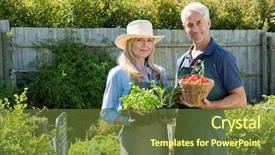  Presentation with vegetable garden - PPT theme consisting of couple in their vegetable garden background and a tawny brown colored foreground