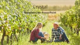  Presentation with picnic - Cool new PPT theme with couple-makes-romantic-picnic backdrop and a yellow colored foreground