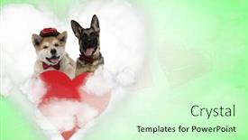  Presentation with german shepherd two young puppys - PPT layouts featuring couple-of-akita-inu background and a soft green colored foreground