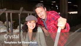  Presentation with barn - Slides with couple of farmers standing in barn background and a violet colored foreground