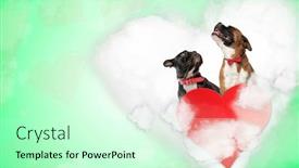  Presentation with boxer - Slides having couple-of-french-bulldog background and a soft green colored foreground