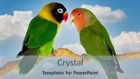  Presentation with sky - Slide set with couple-of-lovebirds-agapornis-fischer background and a light blue colored foreground