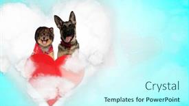  Presentation with dogs - Theme featuring couple-of-spitz-and-german background and a cool aqua colored foreground
