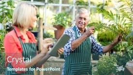  Presentation with greenhouse - Theme featuring couple smiling while working at greenhouse background and a ocean colored foreground