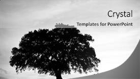  Presentation with oak tree - Audience pleasing theme consisting of couple under a oak tree backdrop and a light gray colored foreground