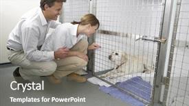  Presentation with rescue - Theme enhanced with couple visiting pet dog background and a gray colored foreground