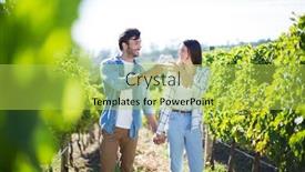  Presentation with toasting - PPT theme having couple with holding hands toasting wineglasses while standing at vineyard background and a yellow colored foreground