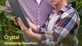  Presentation with agriculture greenhouse - PPT layouts having couple with tablet pc computer background and a tawny brown colored foreground