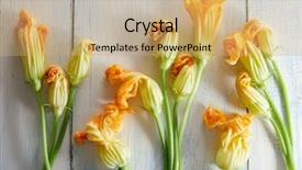  Presentation with flowers - Cool new slides with courgette flowers on wooden background backdrop and a  colored foreground
