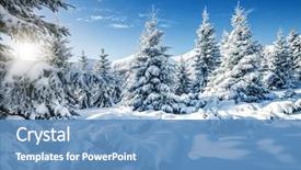  Presentation with ski - Amazing theme having cover - majestic white spruces glowing backdrop and a teal colored foreground