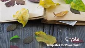  Presentation with autumn leaves - Slide set consisting of cover tea garden - autumn leaves on the opened background and a dark gray colored foreground