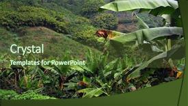  Presentation with colombia - Cool new slides with covered in coffee and banana backdrop and a tawny brown colored foreground