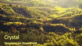  Presentation with banana - Theme enhanced with covered in coffee and banana background and a tawny brown colored foreground