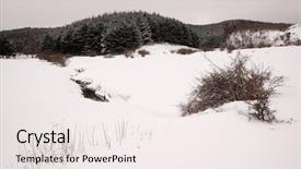  Presentation with snow - Cool new PPT theme with covered landscape of nebrodi park backdrop and a sky blue colored foreground