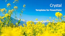  Presentation with snow - PPT layouts having covered mountains landscape kashmir state background and a  colored foreground