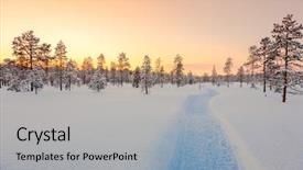  Presentation with pine forest - Cool new slide deck with covered snow empty ski way backdrop and a  colored foreground