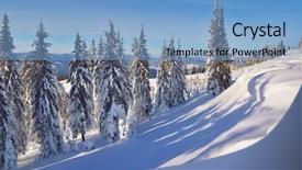  Presentation with snow covered trees and falling - Presentation design with covered trees in a forest background and a light blue colored foreground