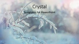  Presentation with winter forest - Colorful PPT theme enhanced with covered trees in the winter backdrop and a light gray colored foreground