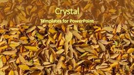  Presentation with dead leaves - Slide set consisting of covered with autumn dead leaves background and a  colored foreground