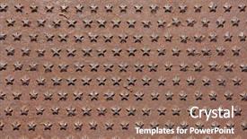  Presentation with five stars - Amazing slides having covered with five-pointed star backdrop and a violet colored foreground